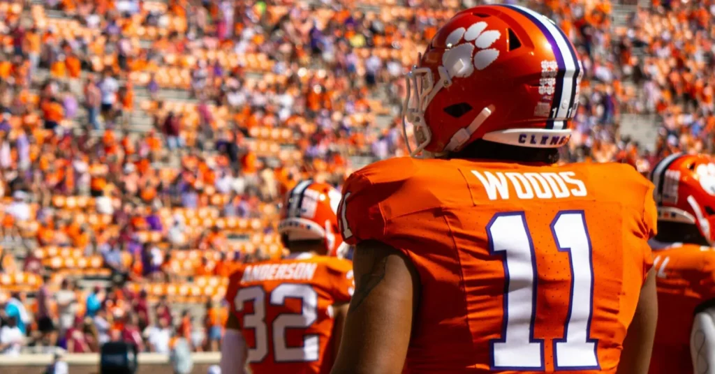 The current image has no alternative text. The file name is: Woods.webp