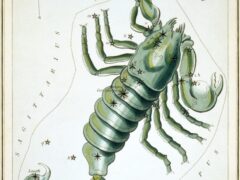 Scorpio constellation star chart from Urania's Mirror (1825)