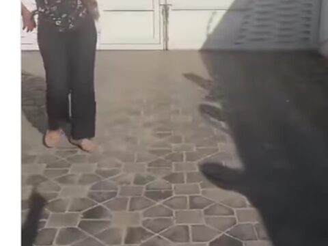 Driveway confrontation video